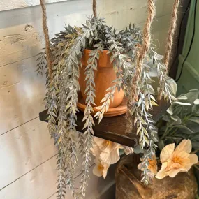 FAUX TRAILING PLANT